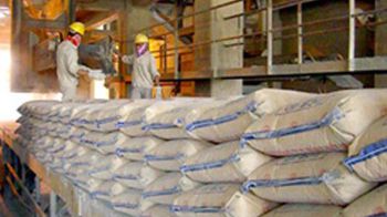 Thị trường xi măng tháng 10/2025: Sản xuất tăng mạnh, tiêu thụ nội địa phục hồi rõ nét
