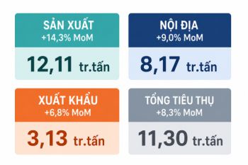 Thị trường xi măng tháng 7 tăng tốc, tiêu thụ nội địa dẫn dắt đà tăng