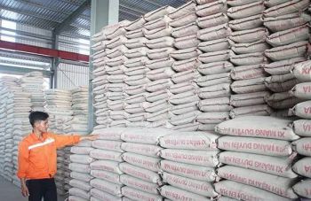 Bộ Xây dựng siết quản lý, yêu cầu kê khai giá xi măng theo quy định mới